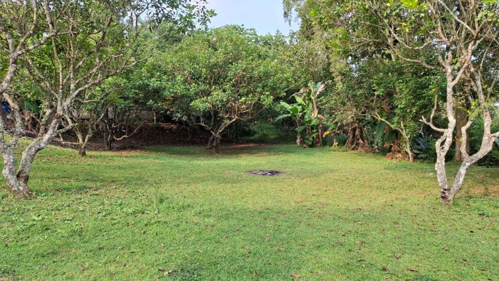 img 20260522 wa0021