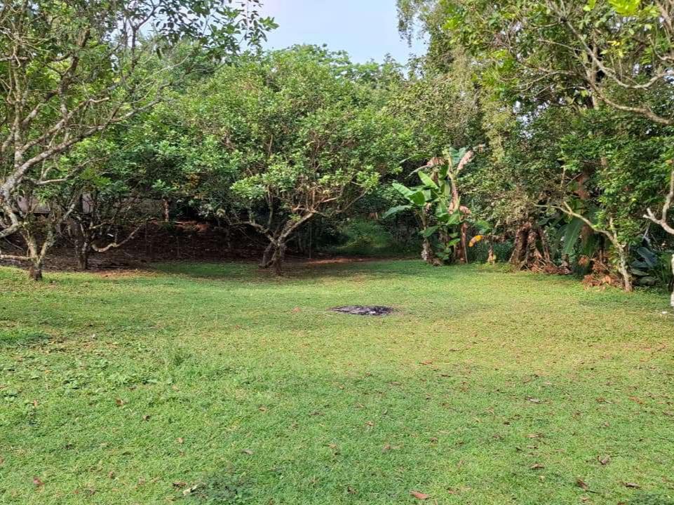 img 20260522 wa0021(1)